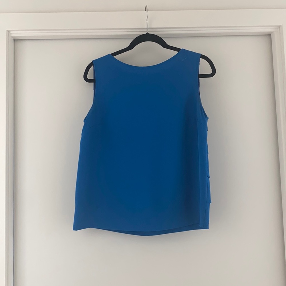 Blue Sleeveless Top Pleated Back Detail